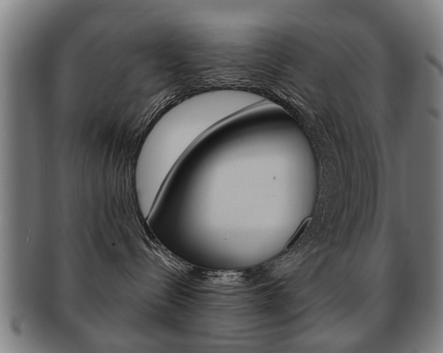 X0000091910288200709051217