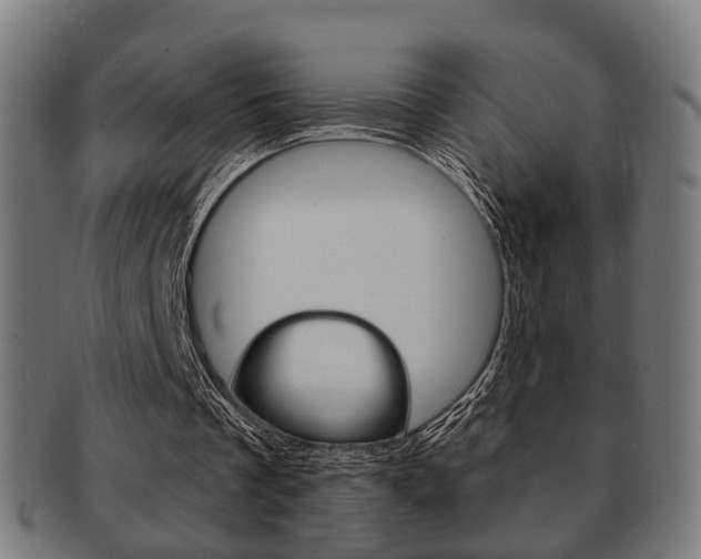 X0000091910289200709051217