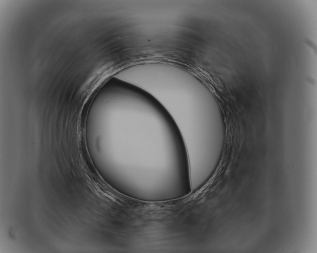 X0000091910290200709051217