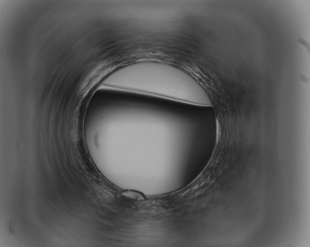 X0000091910291200709051217