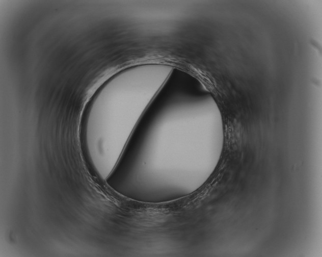 X0000091910292200709051217