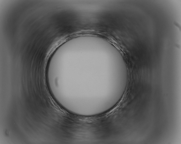 X0000091910293200709051217