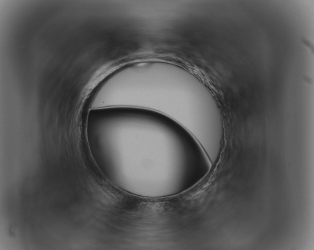 X0000091910295200709051217