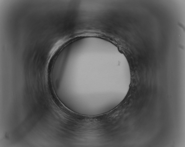 X0000091910296200709051217