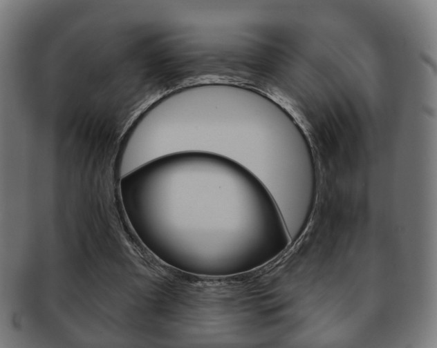 X0000091910297200709051217