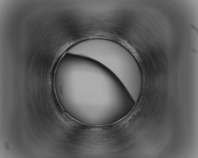 X0000091910298200709051217
