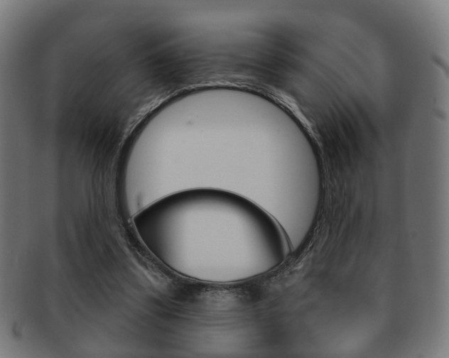 X0000091910299200709051217