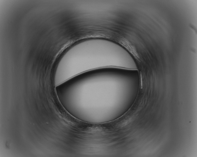 X0000091910300200709051217