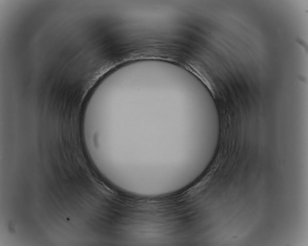 X0000091910301200709051217
