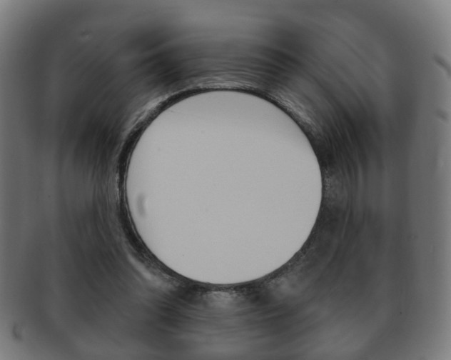 X0000091910302200709051217