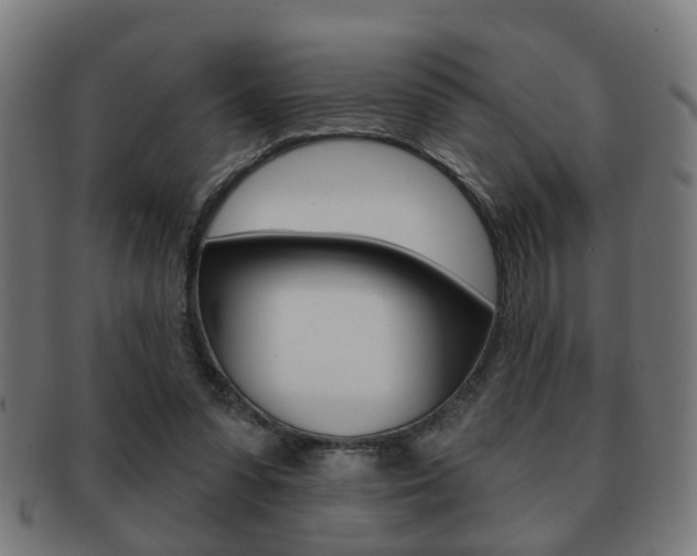 X0000091910303200709051217
