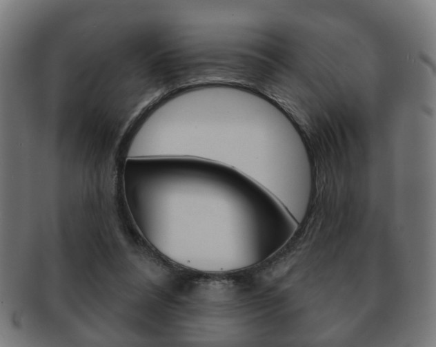 X0000091910304200709051217