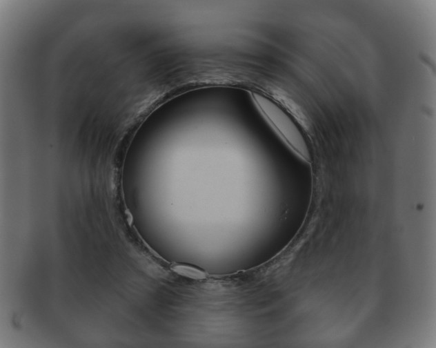 X0000091910305200709051217