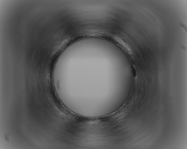 X0000091910306200709051217
