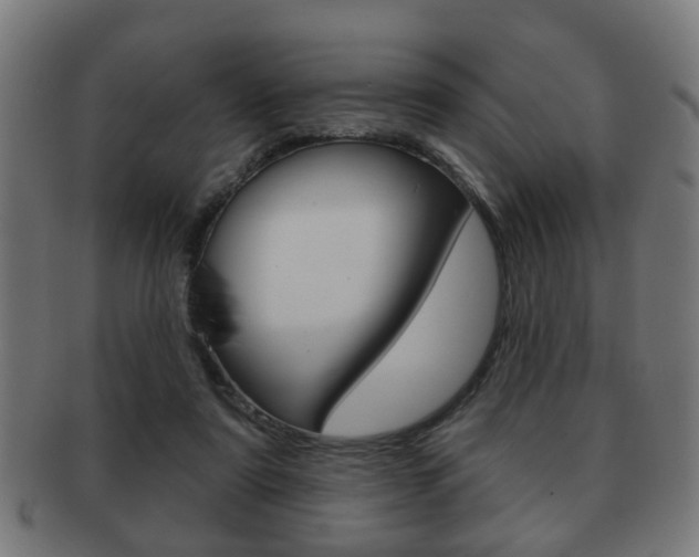 X0000091910307200709051217