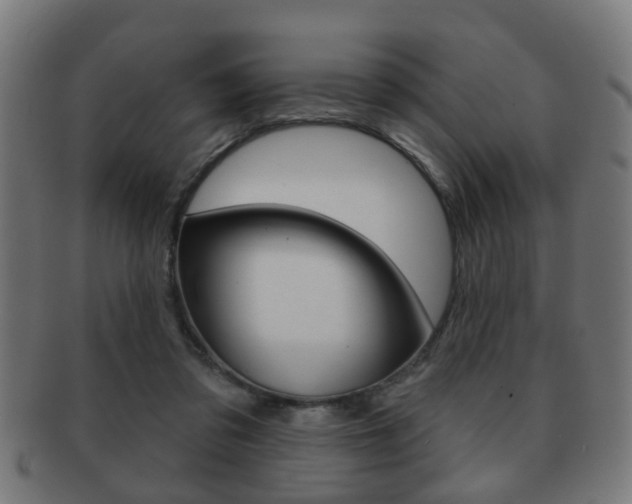 X0000091910309200709051217
