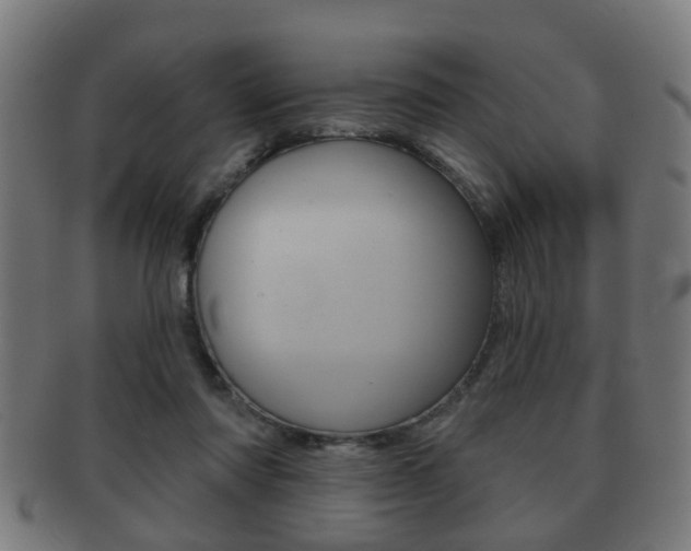 X0000091910310200709051216