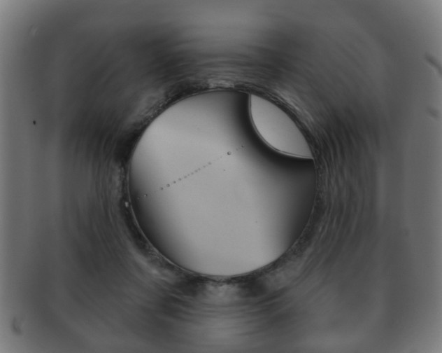 X0000091910311200709051216