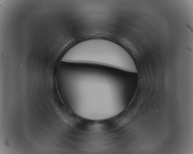 X0000091910312200709051216