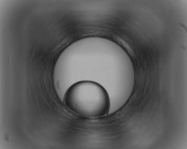 X0000091910313200709051216