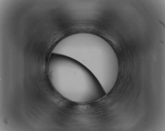 X0000091910314200709051216