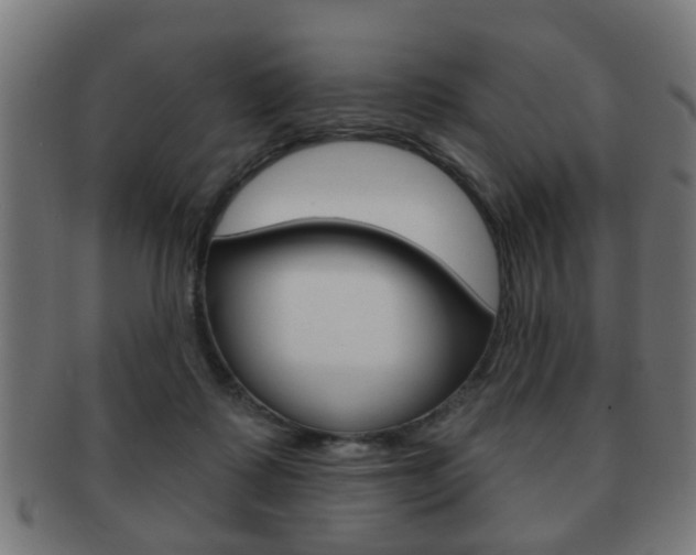 X0000091910315200709051216