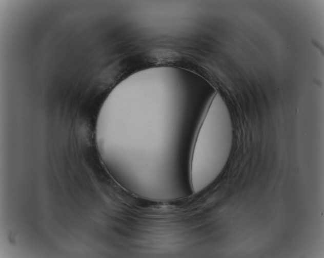 X0000091910316200709051216