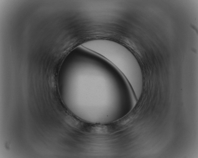 X0000091910317200709051216