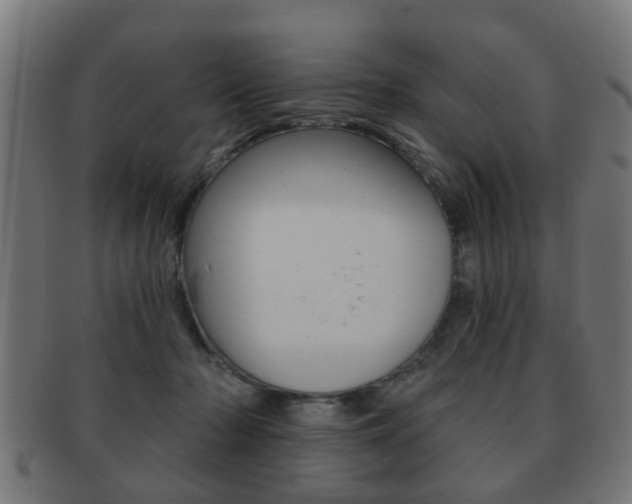 X0000091910318200709051216