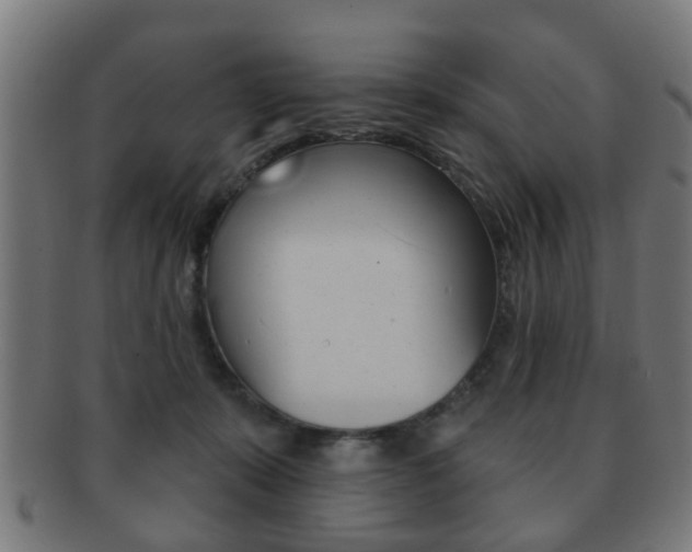 X0000091910319200709051216