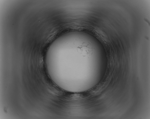 X0000091910320200709051216