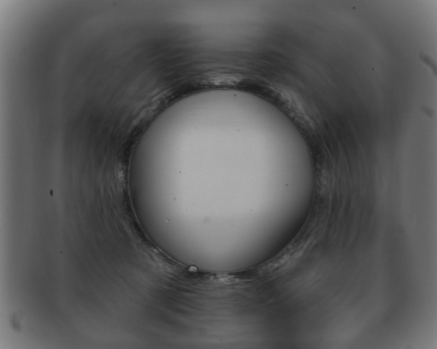 X0000091910321200709051216