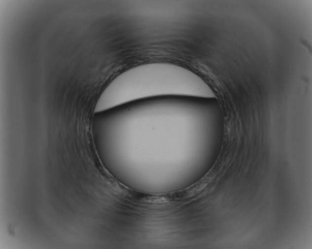 X0000091910322200709051216