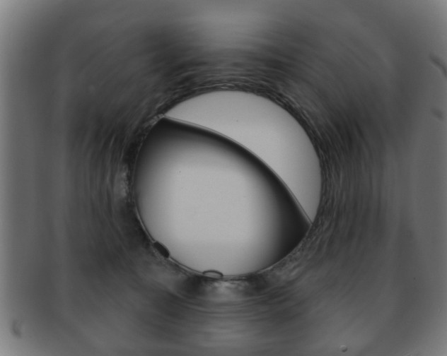 X0000091910323200709051216