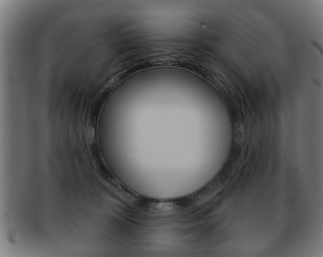 X0000091910324200709051216