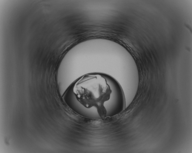 X0000091910325200709051216
