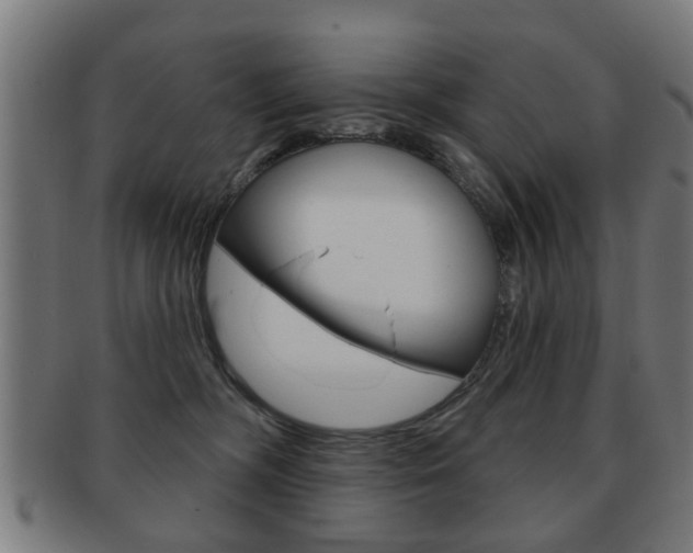 X0000091910326200709051216