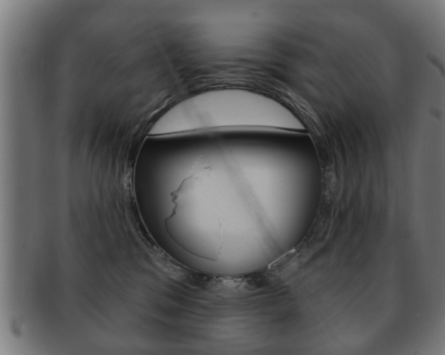 X0000091910329200709051216