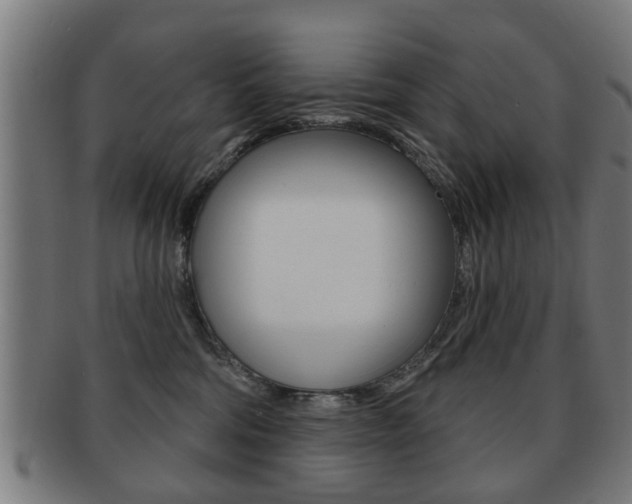 X0000091910330200709051216