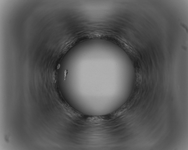 X0000091910331200709051216