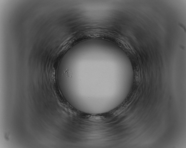 X0000091910332200709051216
