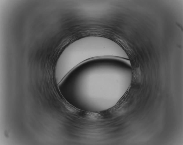 X0000091910333200709051216