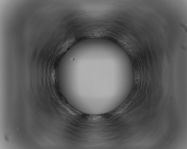 X0000091910334200709051216
