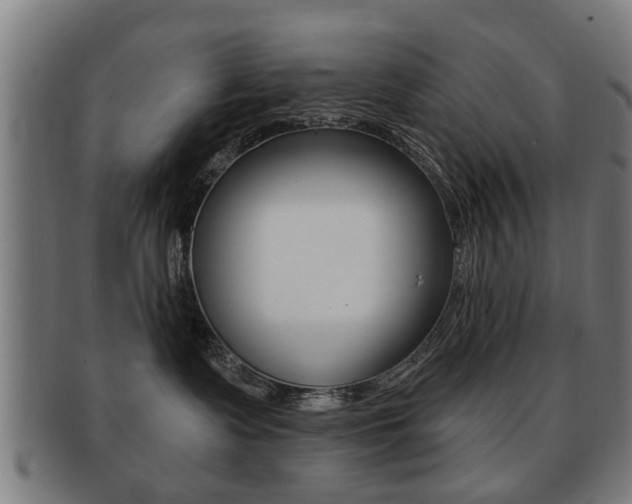 X0000091910335200709051216