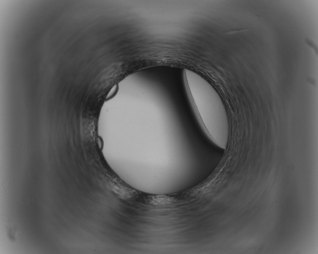 X0000091910336200709051216