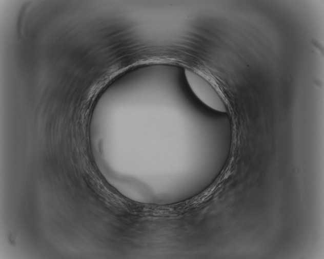 X0000091910337200709051216