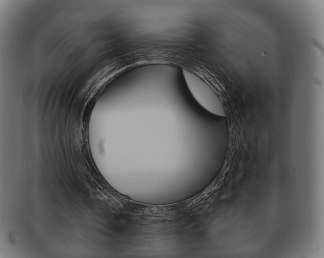 X0000091910338200709051216