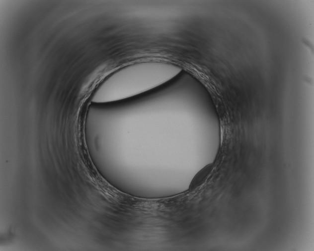 X0000091910339200709051216