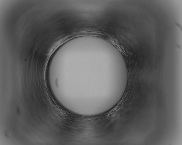 X0000091910340200709051216