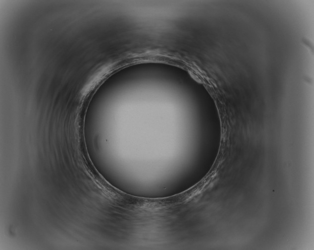 X0000091910341200709051216